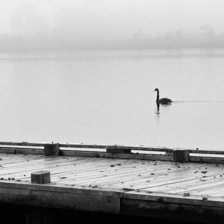 Cold Swimming – Huon Writes 2